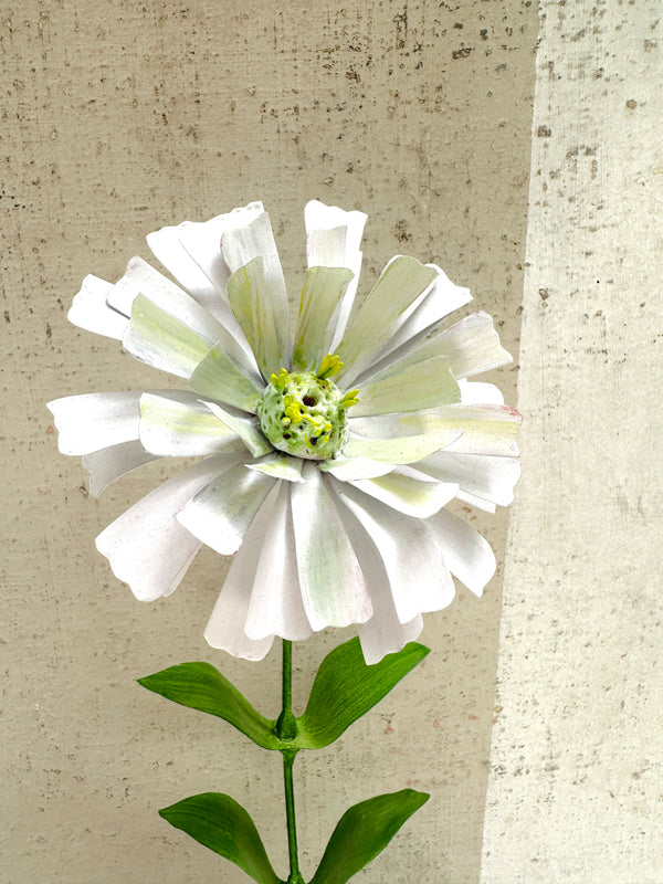 White Zinnia 15"
