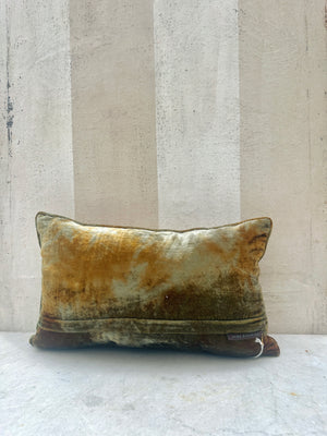 Shaded Lake Bryanna Velvet Pillow