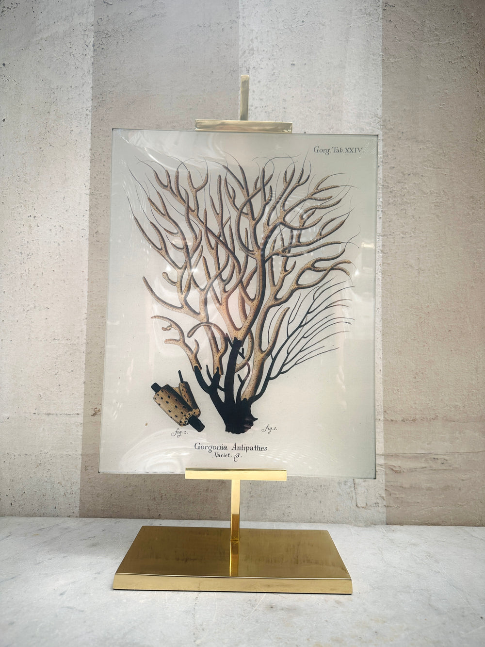Brown Coral Tray 11x14