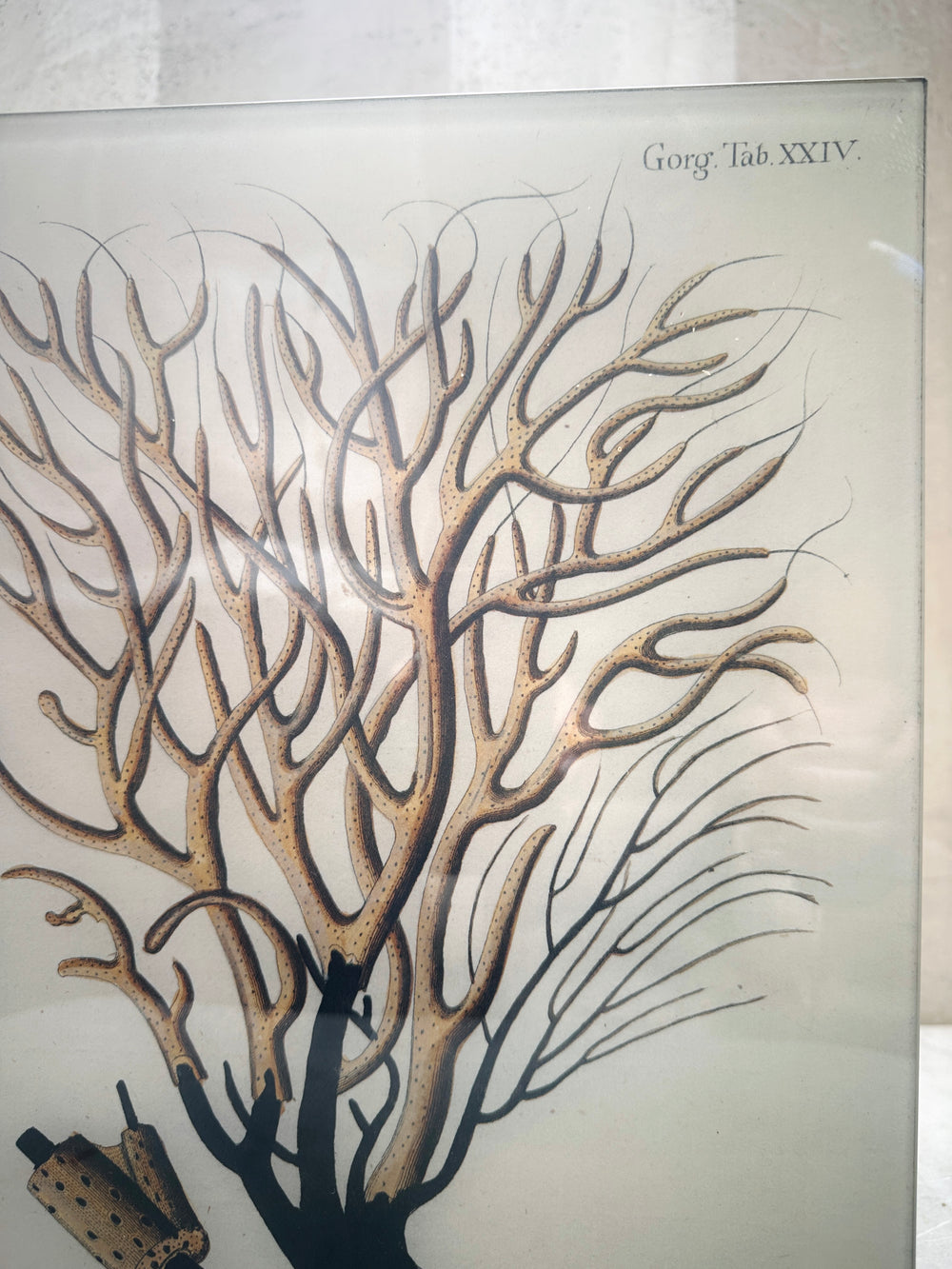 Brown Coral Tray 11x14