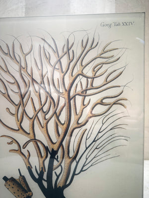 Brown Coral Tray 11x14