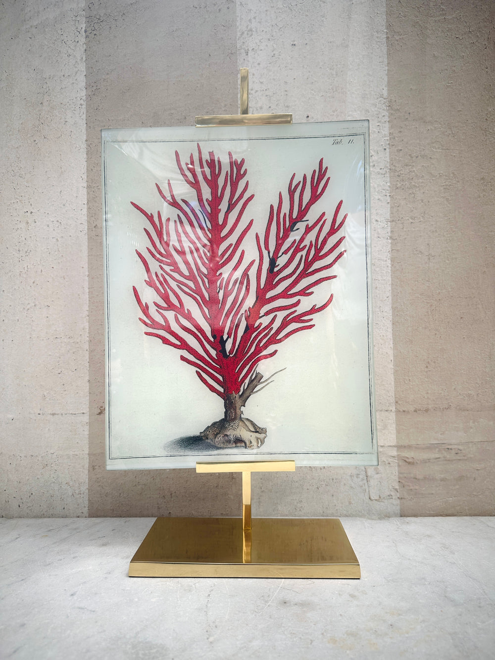 Red Coral Tray 11x14