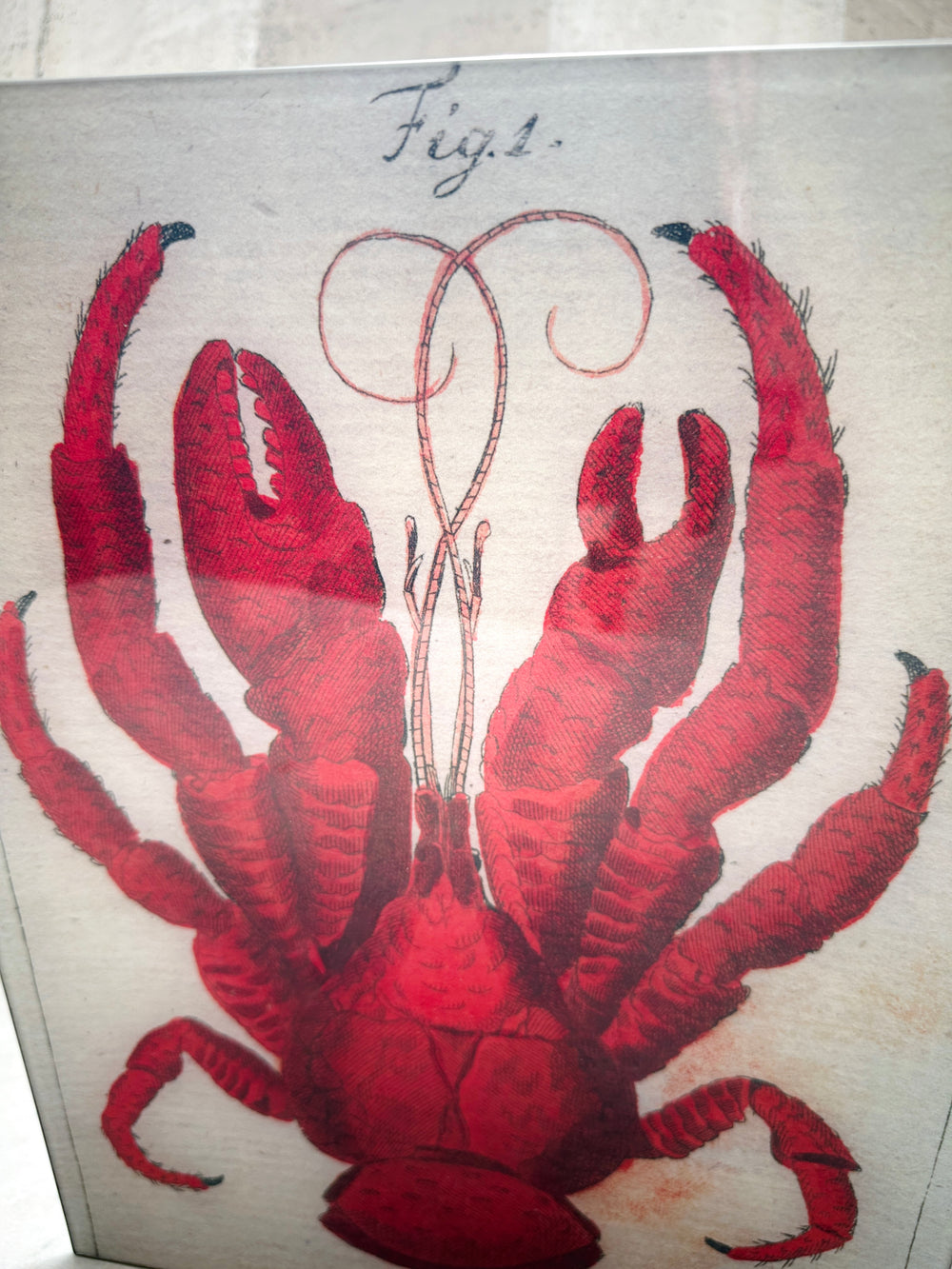 Lobster Top Tray 11x14