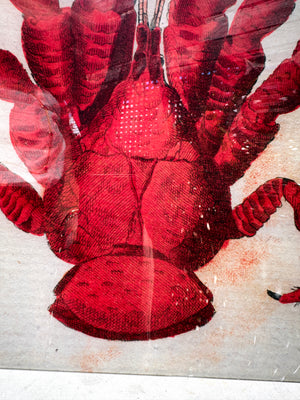Lobster Top Tray 11x14