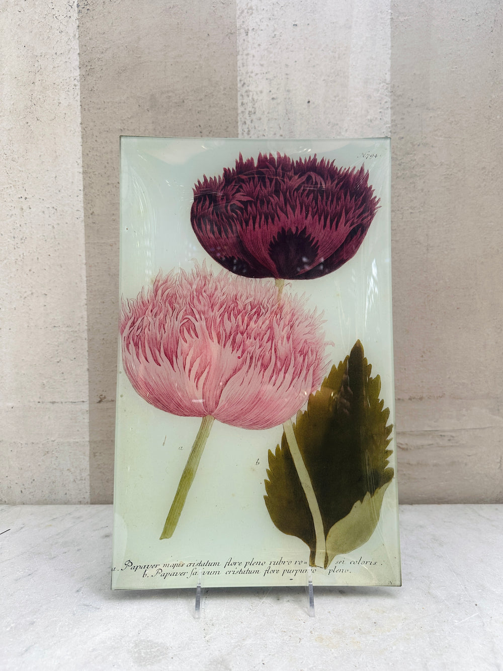 N.794 Crested Poppy Tray