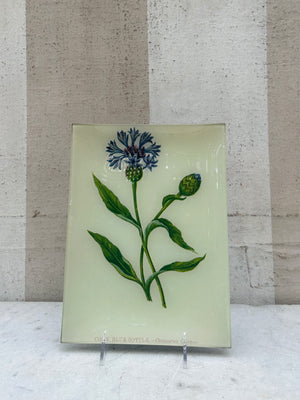 Corn Blue-Bottle Wildflower Tray