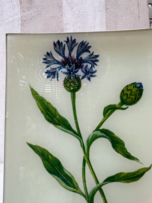 Corn Blue-Bottle Wildflower Tray