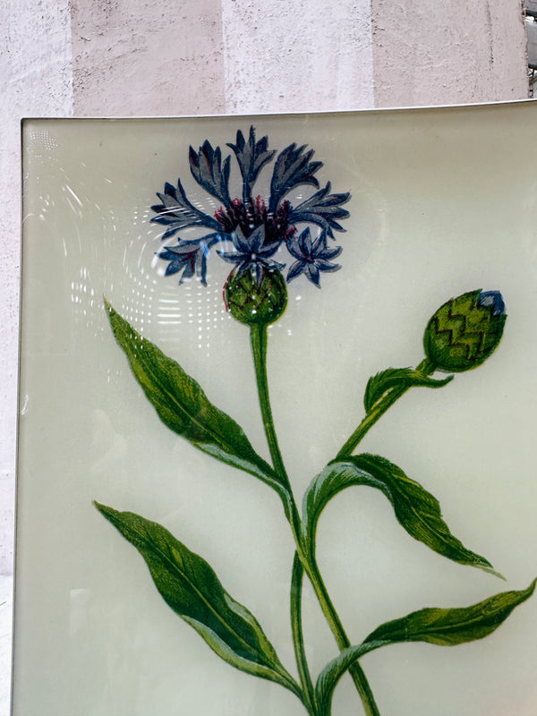 Corn Blue-Bottle Wildflower Tray
