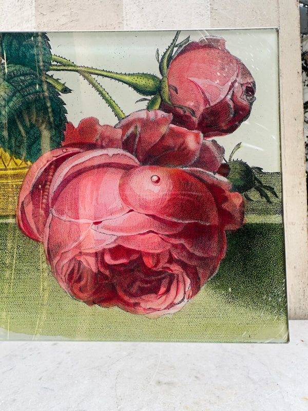 Dewy Rose Tray