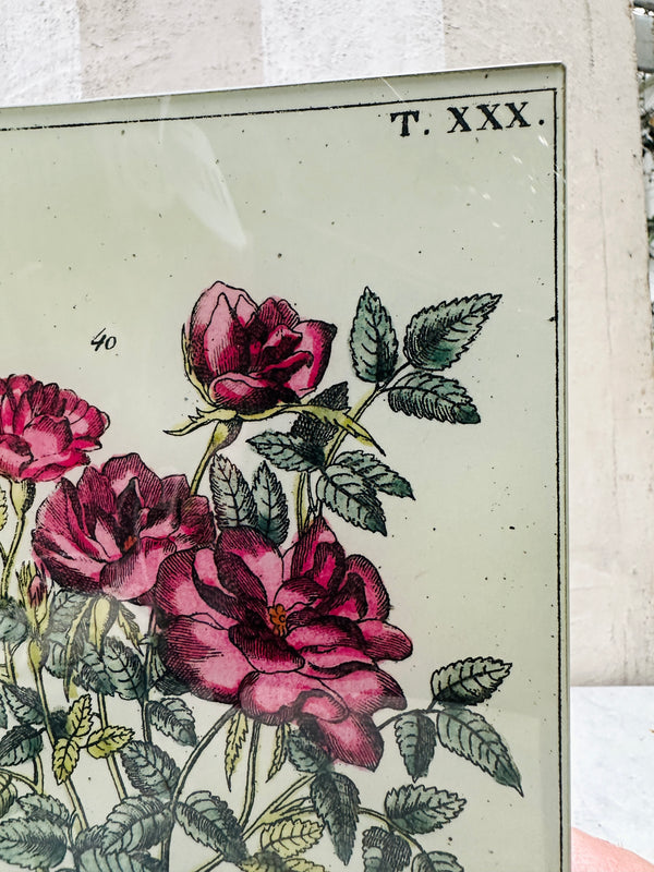 Potted Rose Tray