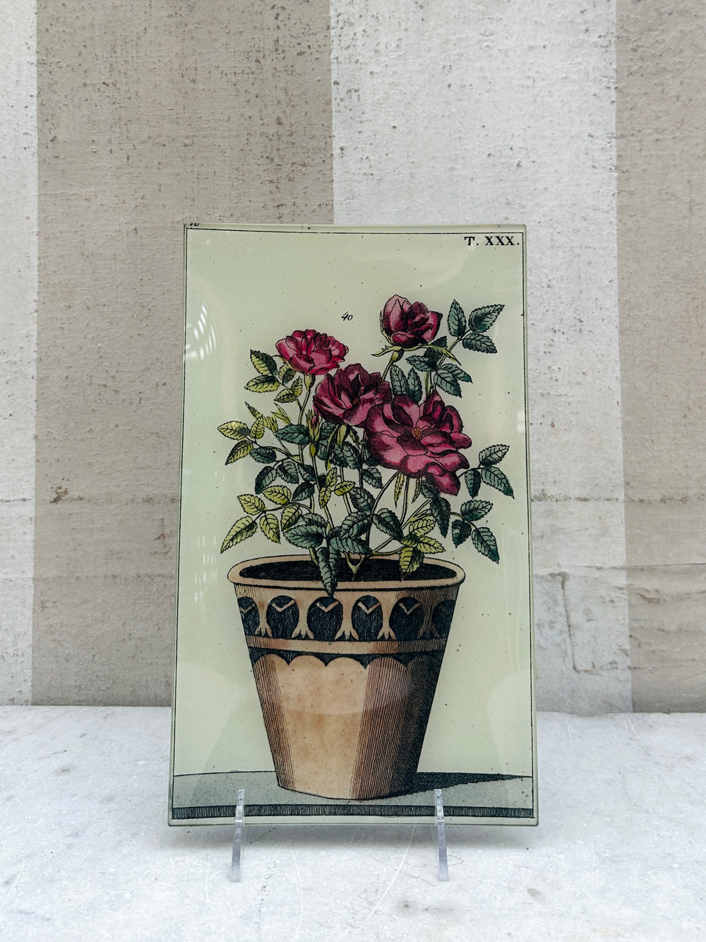 Potted Rose Tray