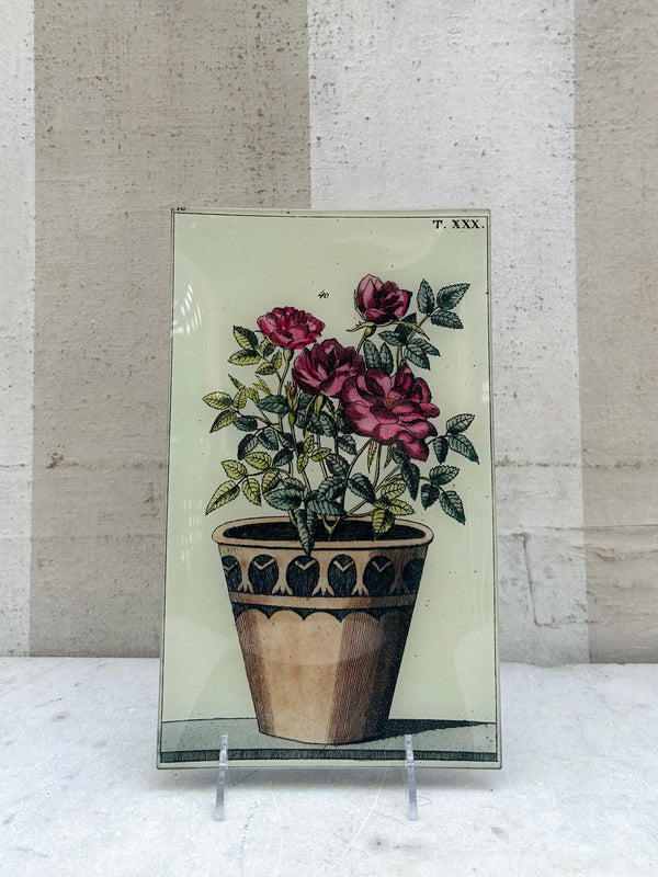 Potted Rose Tray