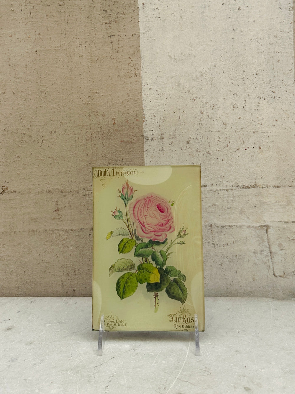 The Rose Mini Tray