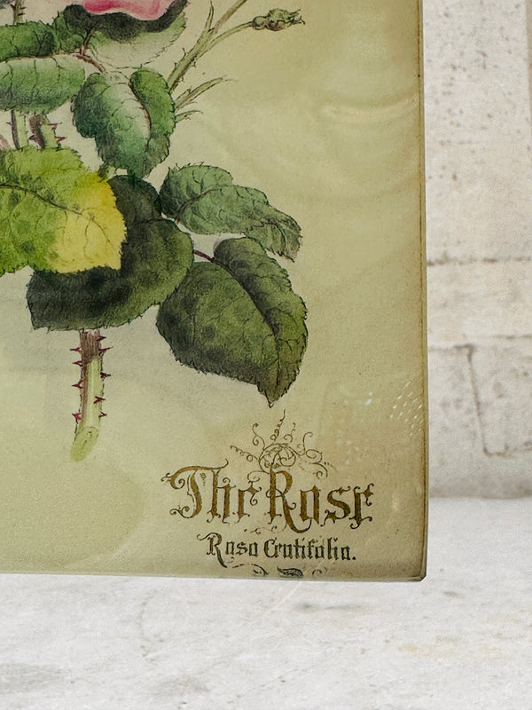 The Rose Mini Tray