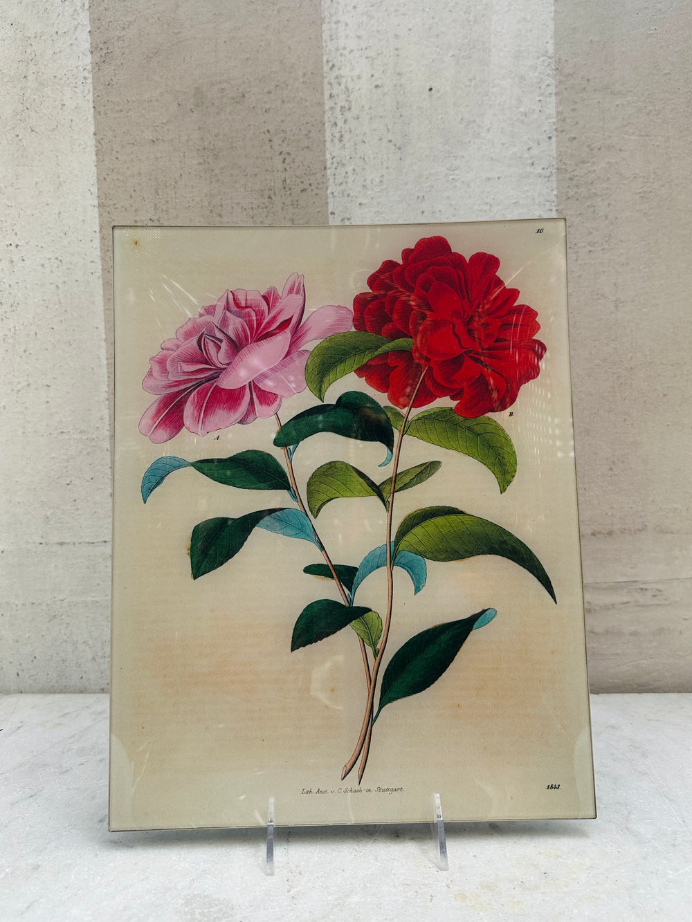 Stuttgart Flower (p258) Tray