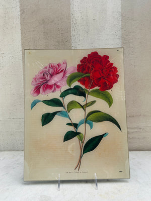 Stuttgart Flower (p258) Tray