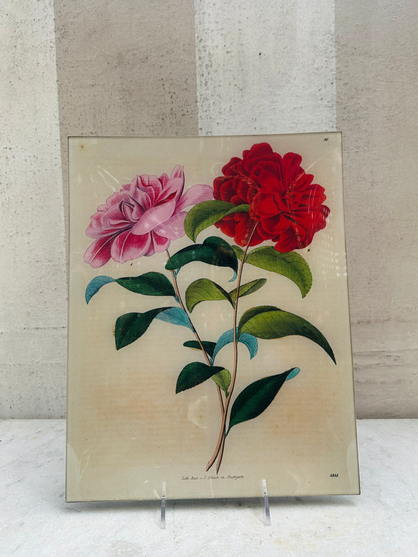 Stuttgart Flower (p258) Tray