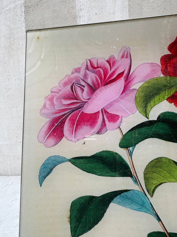 Stuttgart Flower (p258) Tray