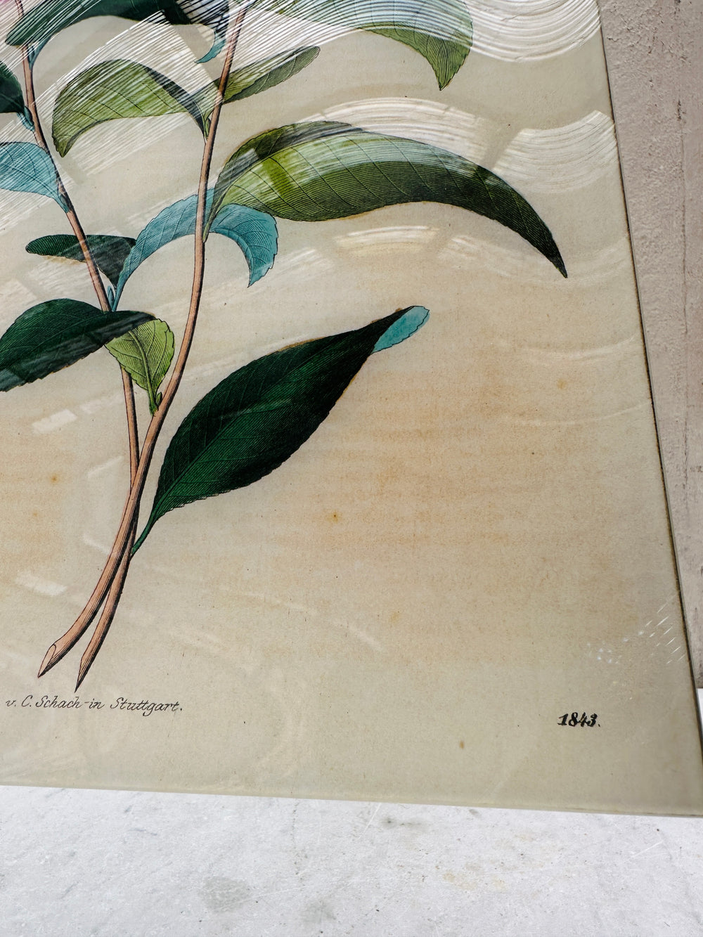 Stuttgart Flower (p258) Tray