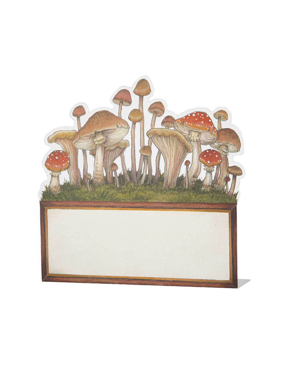 Mushroom Place Cards