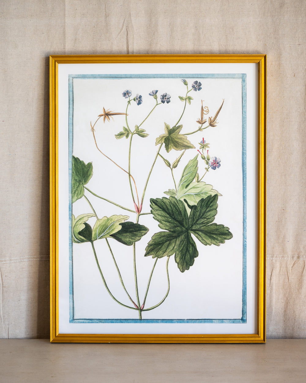 Italian Botanical -2940