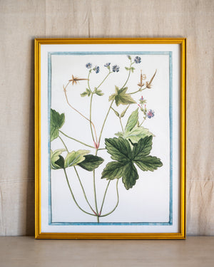 Italian Botanical -2940