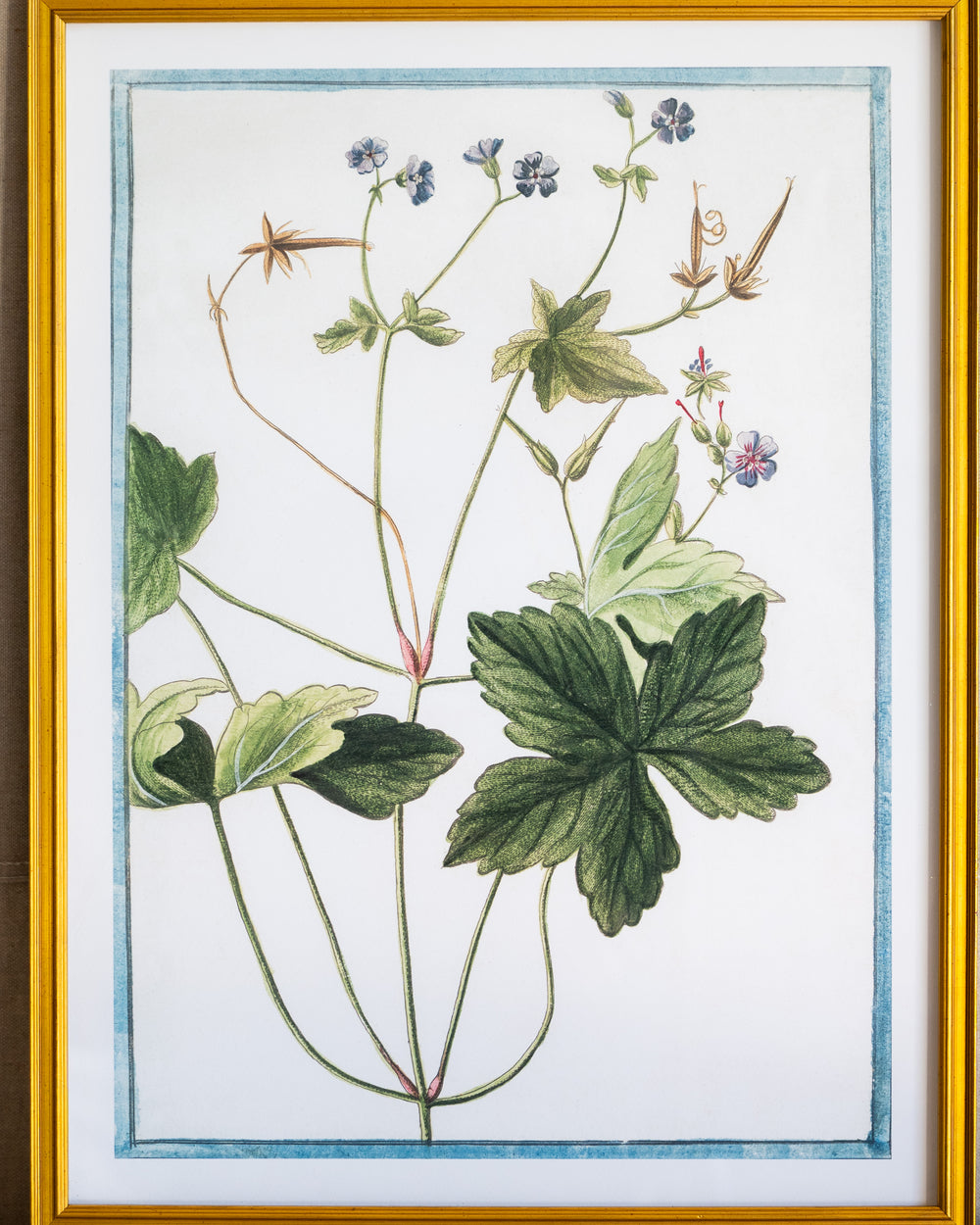 Italian Botanical -2940