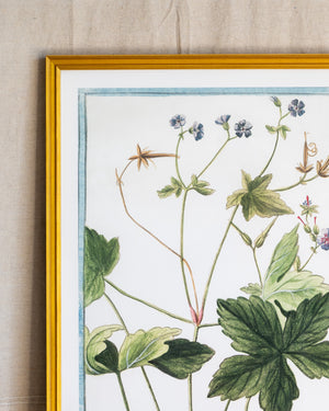 Italian Botanical -2940
