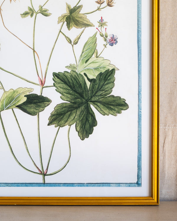 Italian Botanical -2940