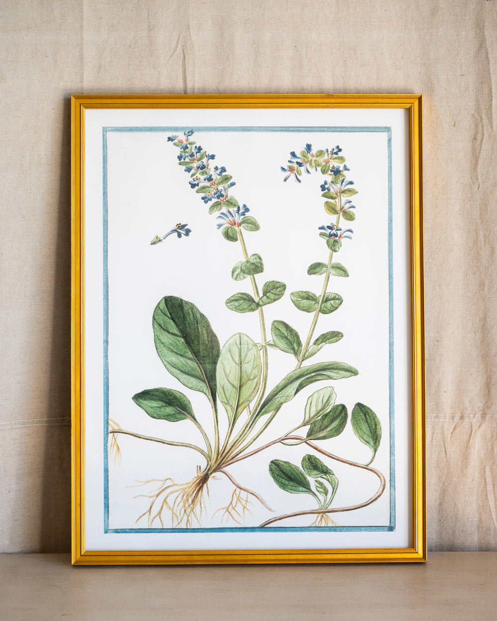 Italian Botanical -2949