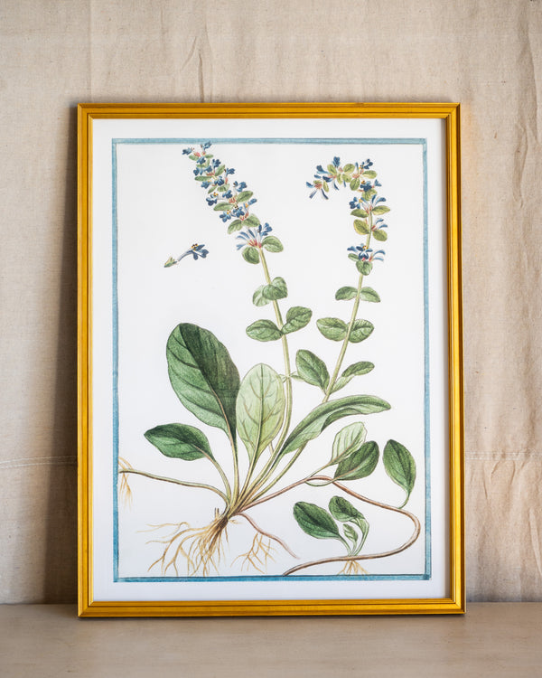 Italian Botanical -2949