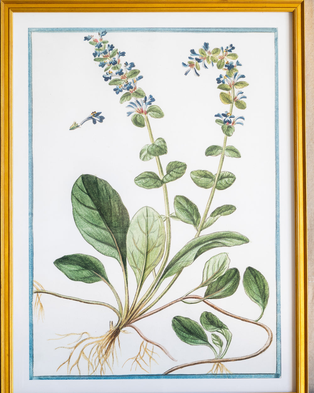 Italian Botanical -2949