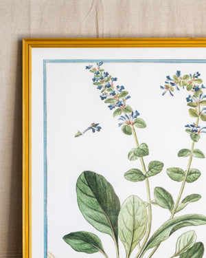 Italian Botanical -2949