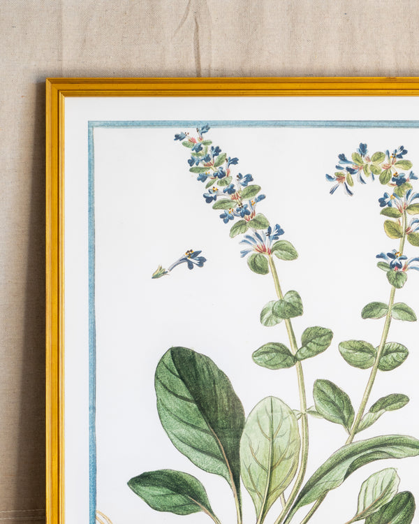Italian Botanical -2949
