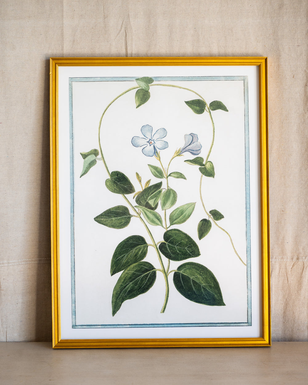 Italian Botanical -2985