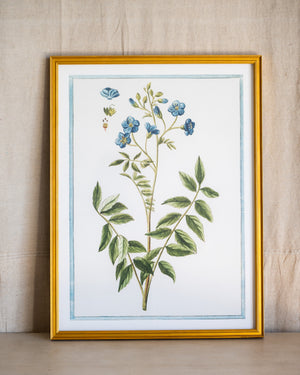 Italian Botanical -2989