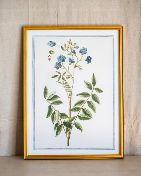 Italian Botanical -2989