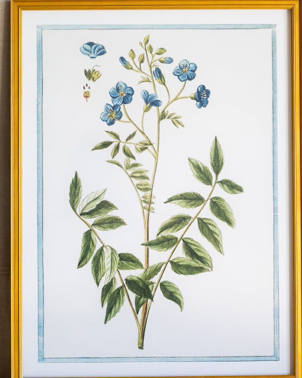 Italian Botanical -2989