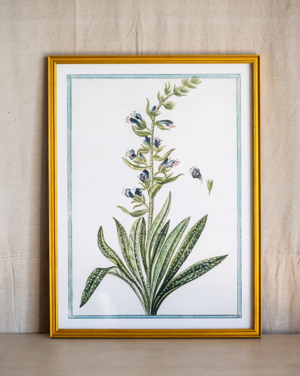Italian Botanical -2993