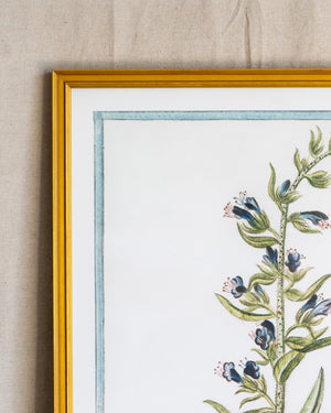 Italian Botanical -2993