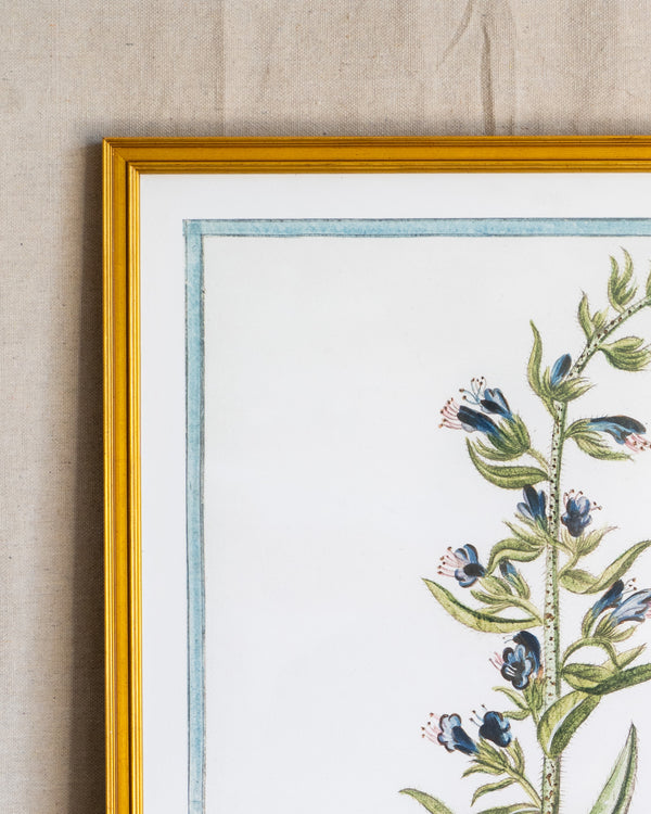 Italian Botanical -2993