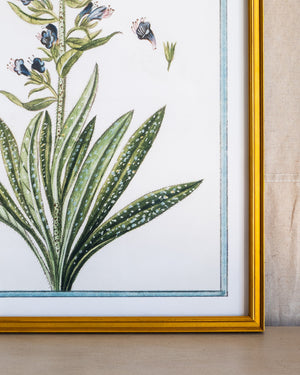 Italian Botanical -2993