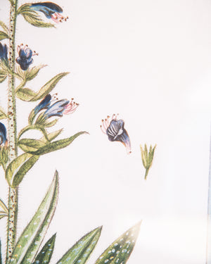 Italian Botanical -2993