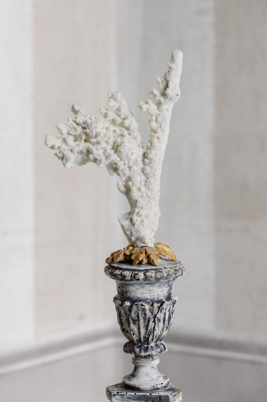 Alessia Antique Coral