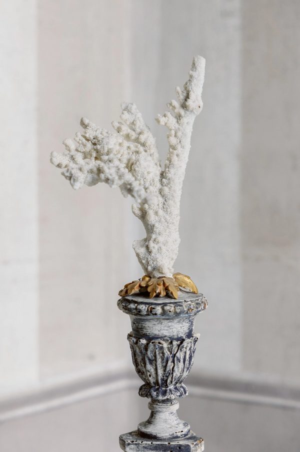 Alessia Antique Coral