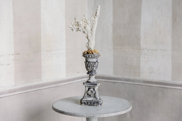 Alessia Antique Coral