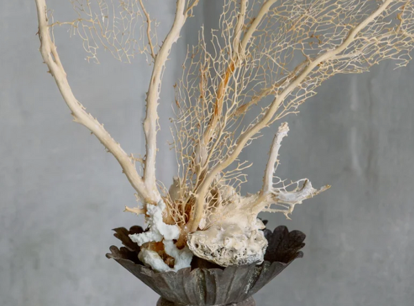 Aurelio Gorgonia on Antique Base