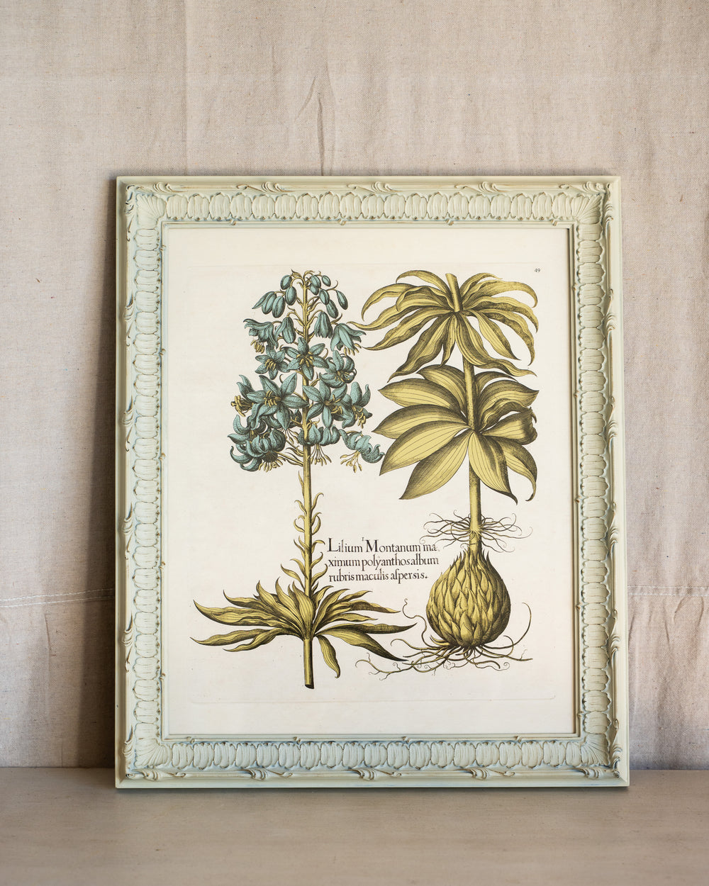 Framed Bessler Botanical 1