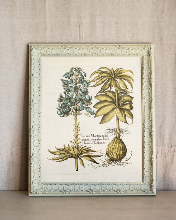 Framed Bessler Botanical 1