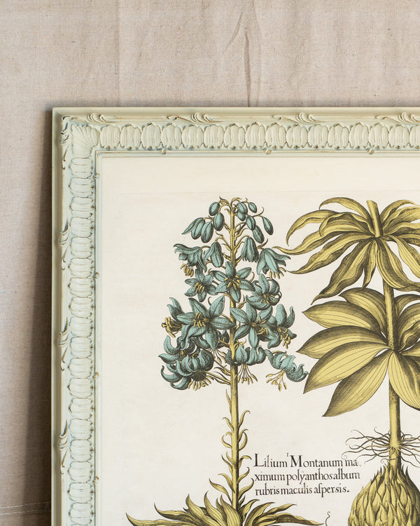 Framed Bessler Botanical 1